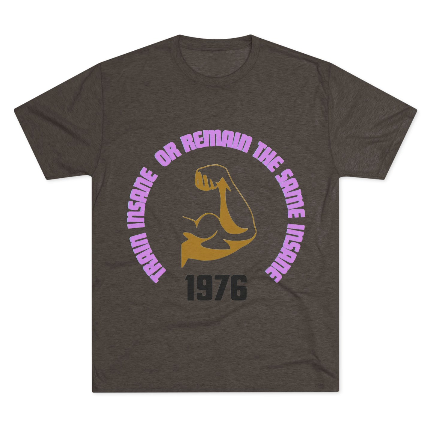Inspirational Fitness Crew Tee | Train Insane Gym Shirt | Workout & Motivational Gift