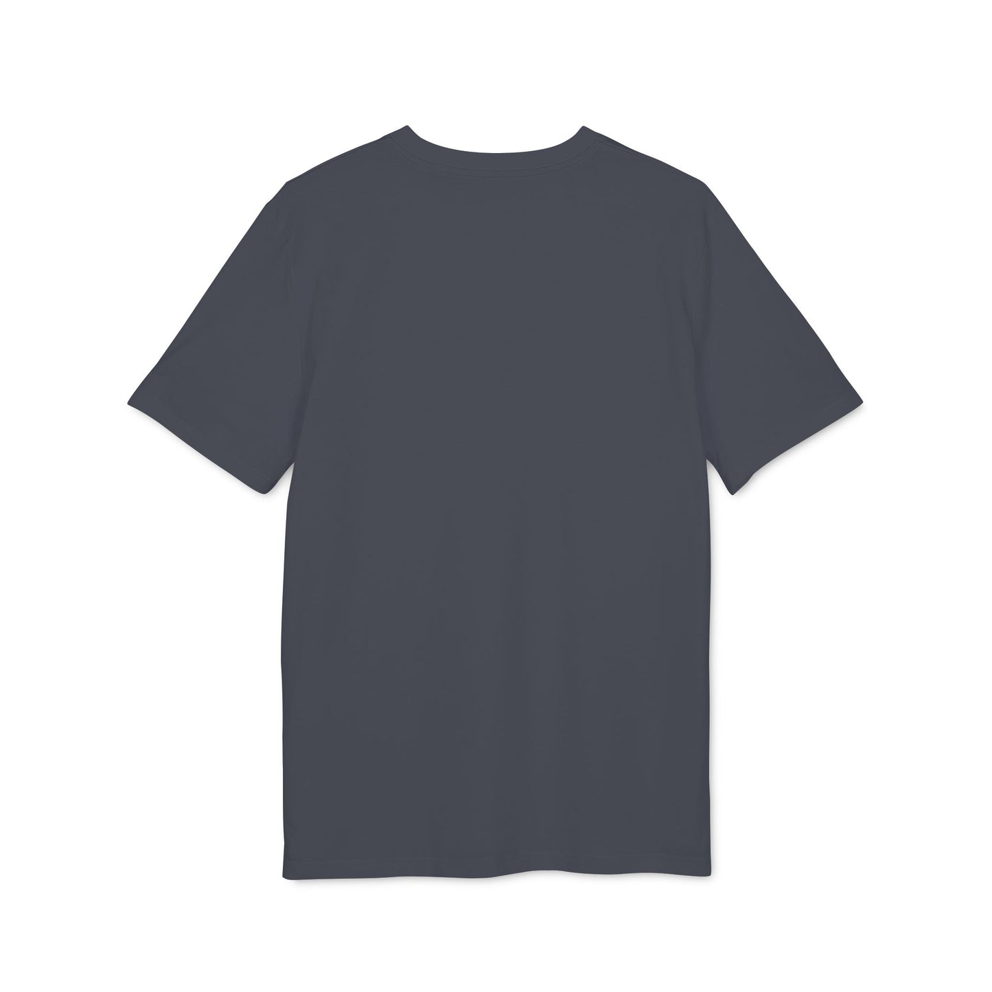 Motivational Workout T-Shirt | Unisex Gym Apparel | No Excuses Just Results