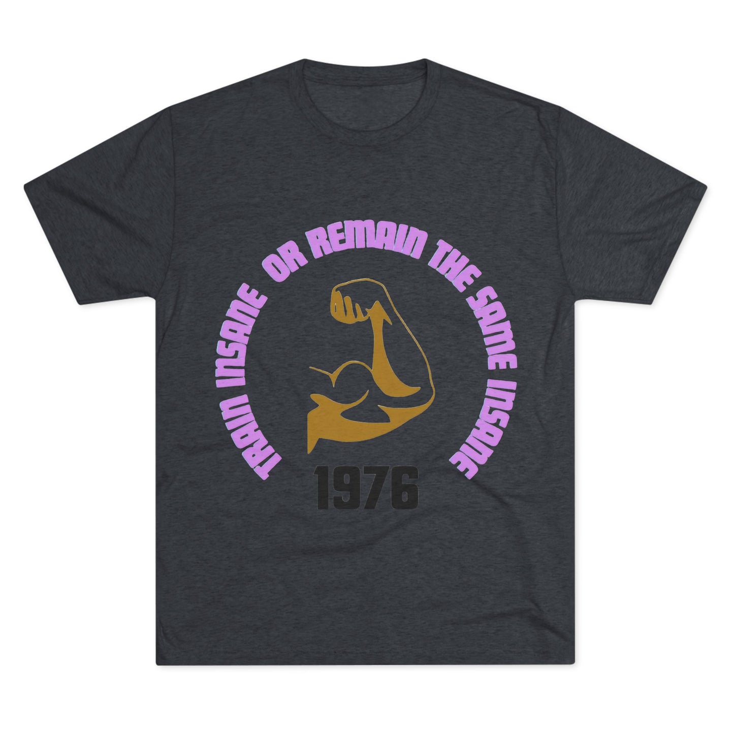 Inspirational Fitness Crew Tee | Train Insane Gym Shirt | Workout & Motivational Gift